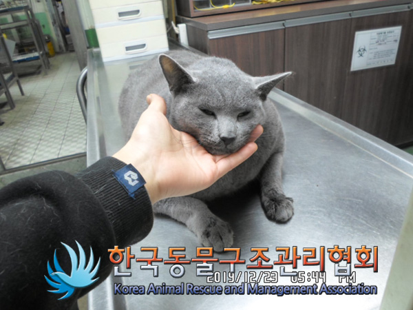 러시안마트 이미지