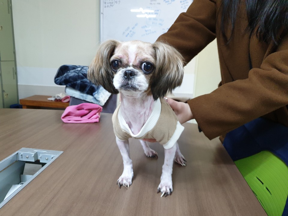 SK주유소 이미지