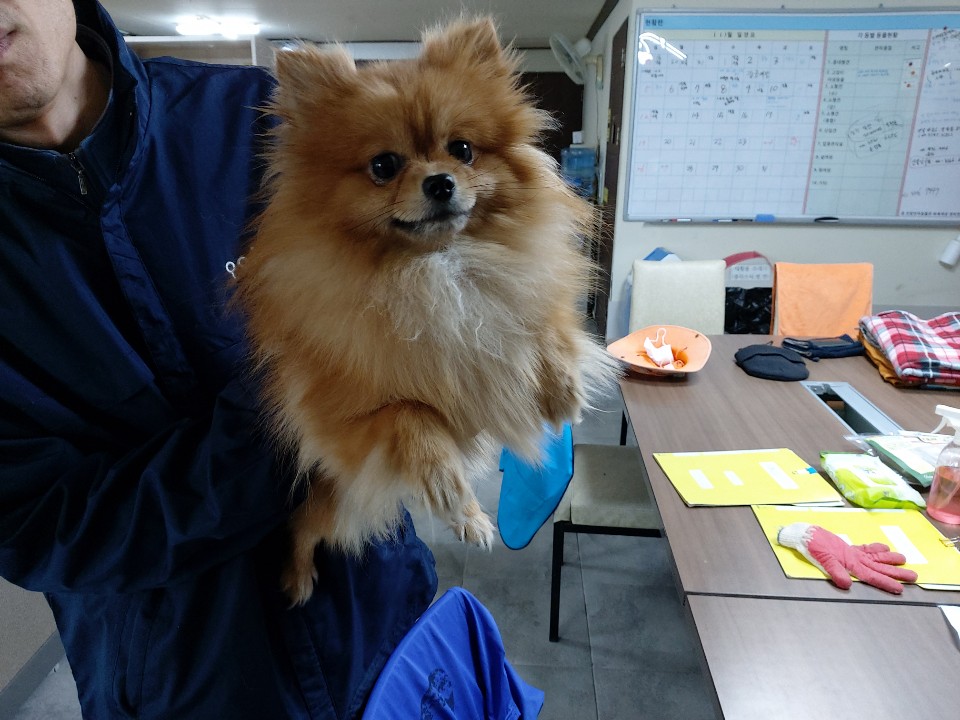 대상수산 이미지