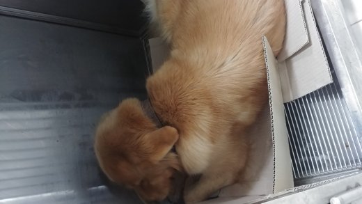 소원주유소 이미지