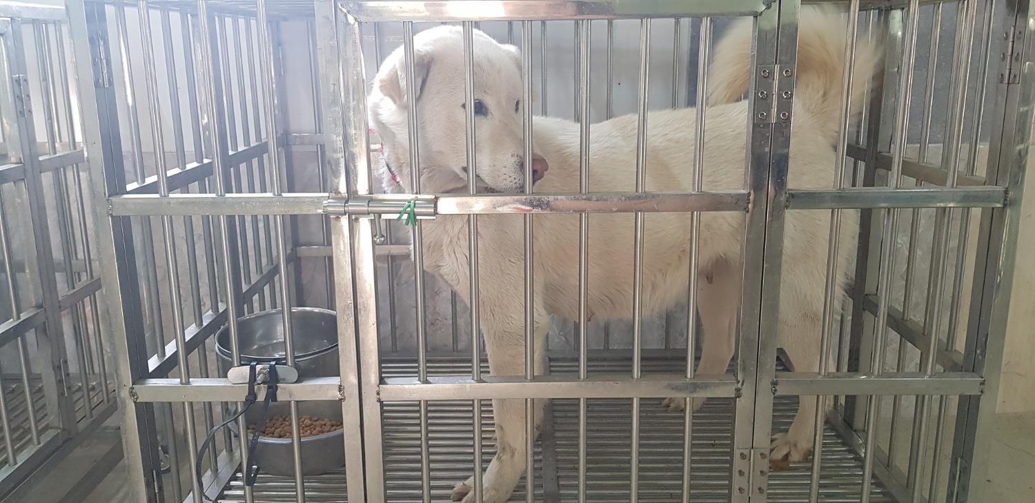 의령주유소 이미지
