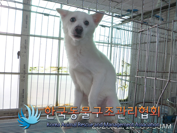 영중초등학교 이미지