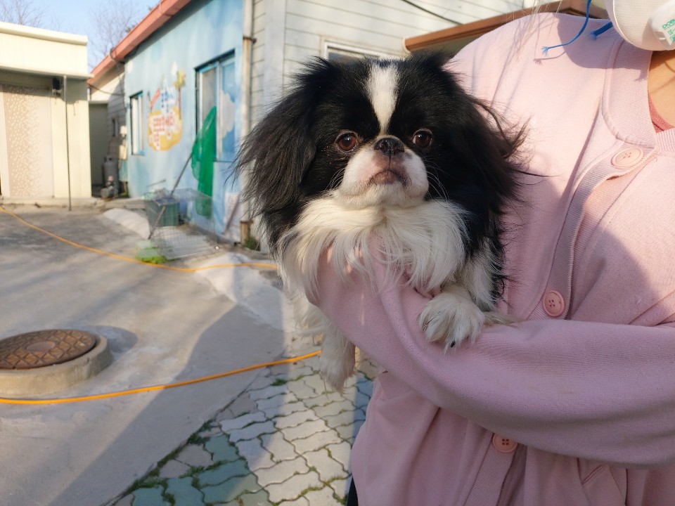 장미길 이미지