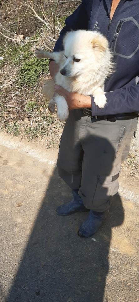 진상골 이미지