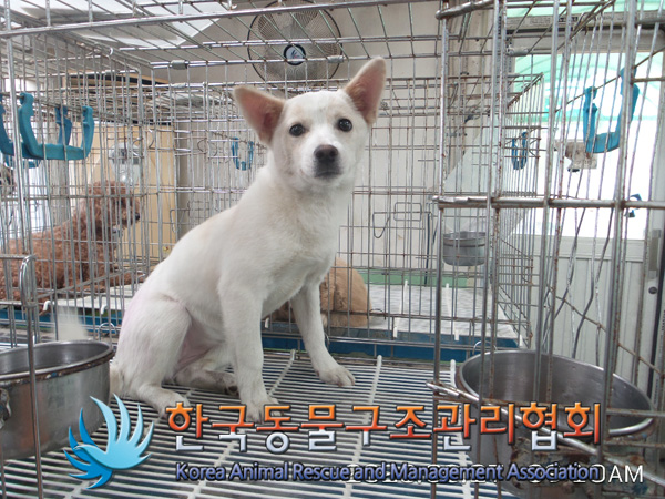 가락관광호텔 이미지