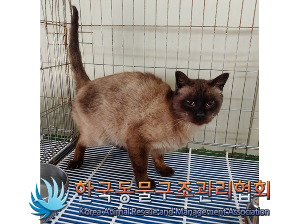 금파중학교 이미지