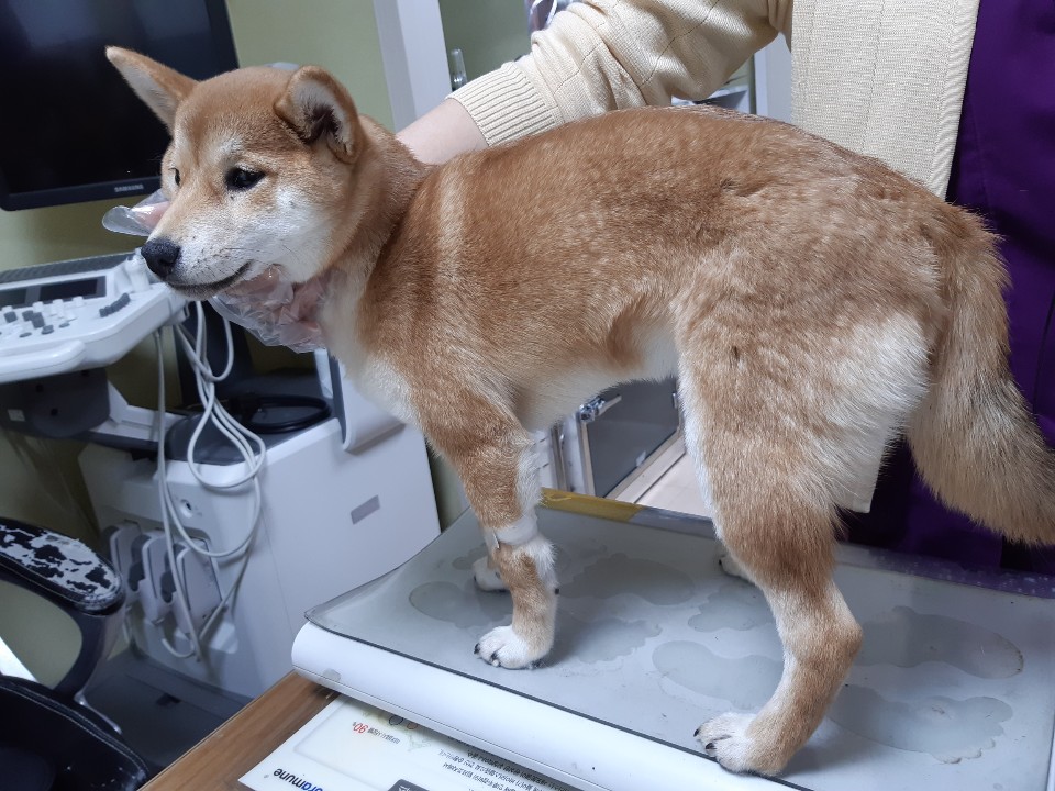 통샘 이미지