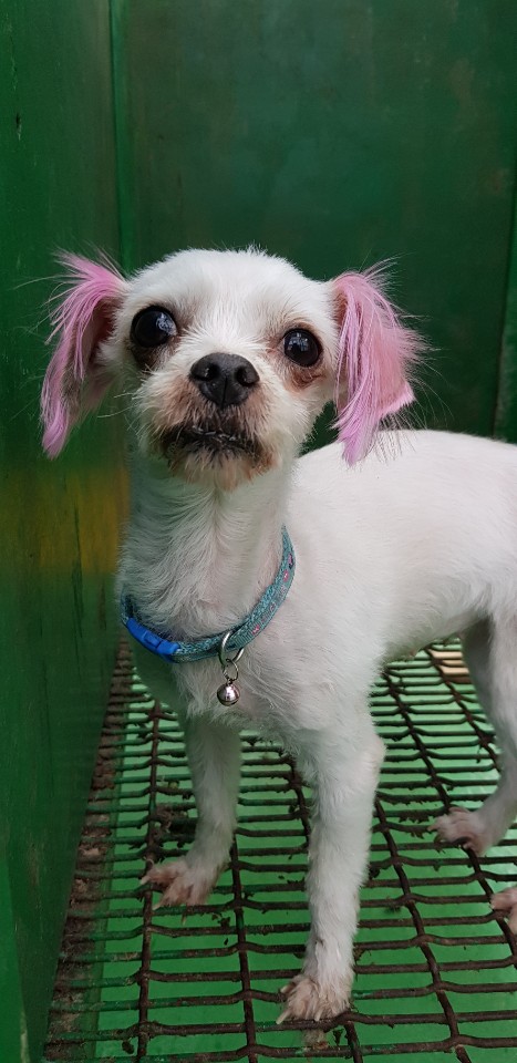 숲속코코유치원 이미지