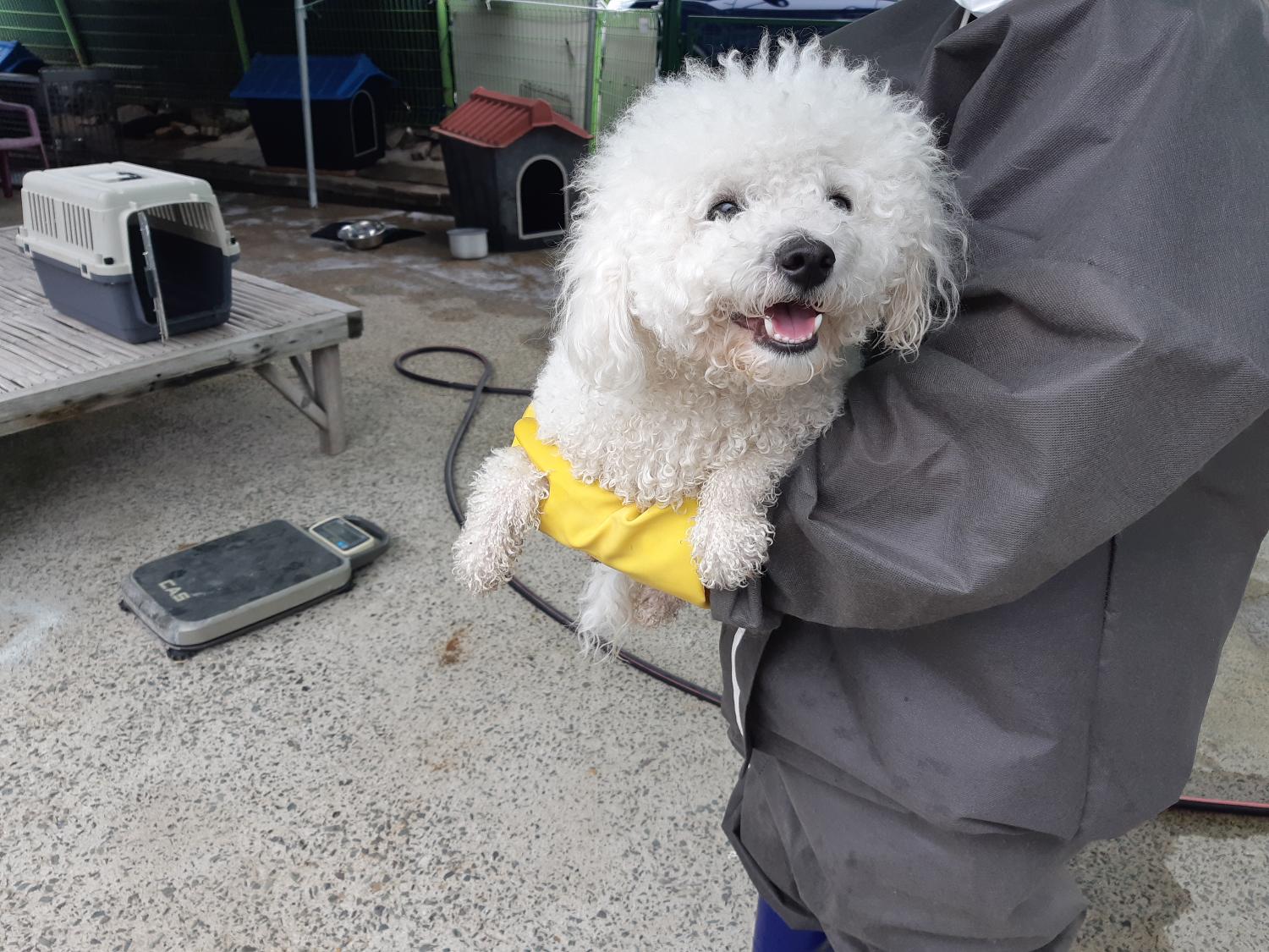진주성로 이미지
