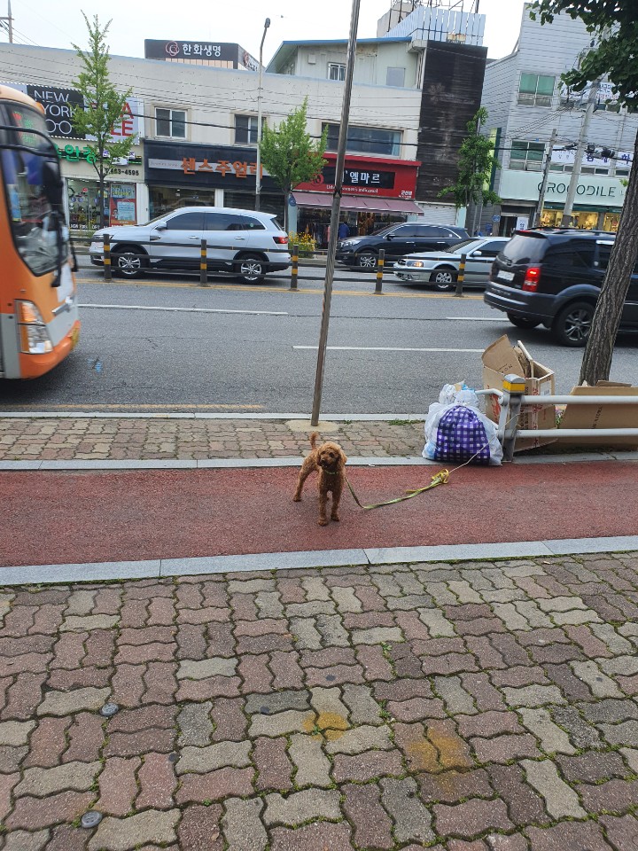 극동주유소 이미지