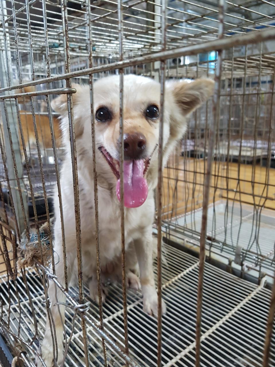올리브영통영 이미지