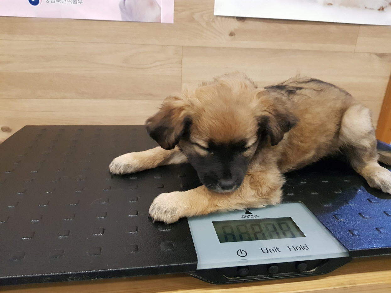 전주남초등학교 이미지
