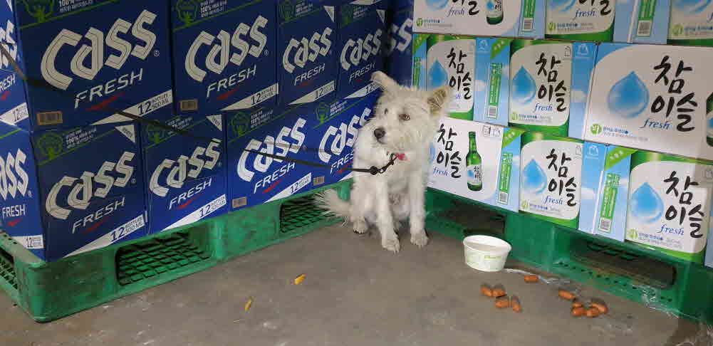 강릉원마트 이미지