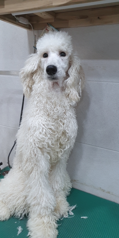 혜인당중국한의원 이미지