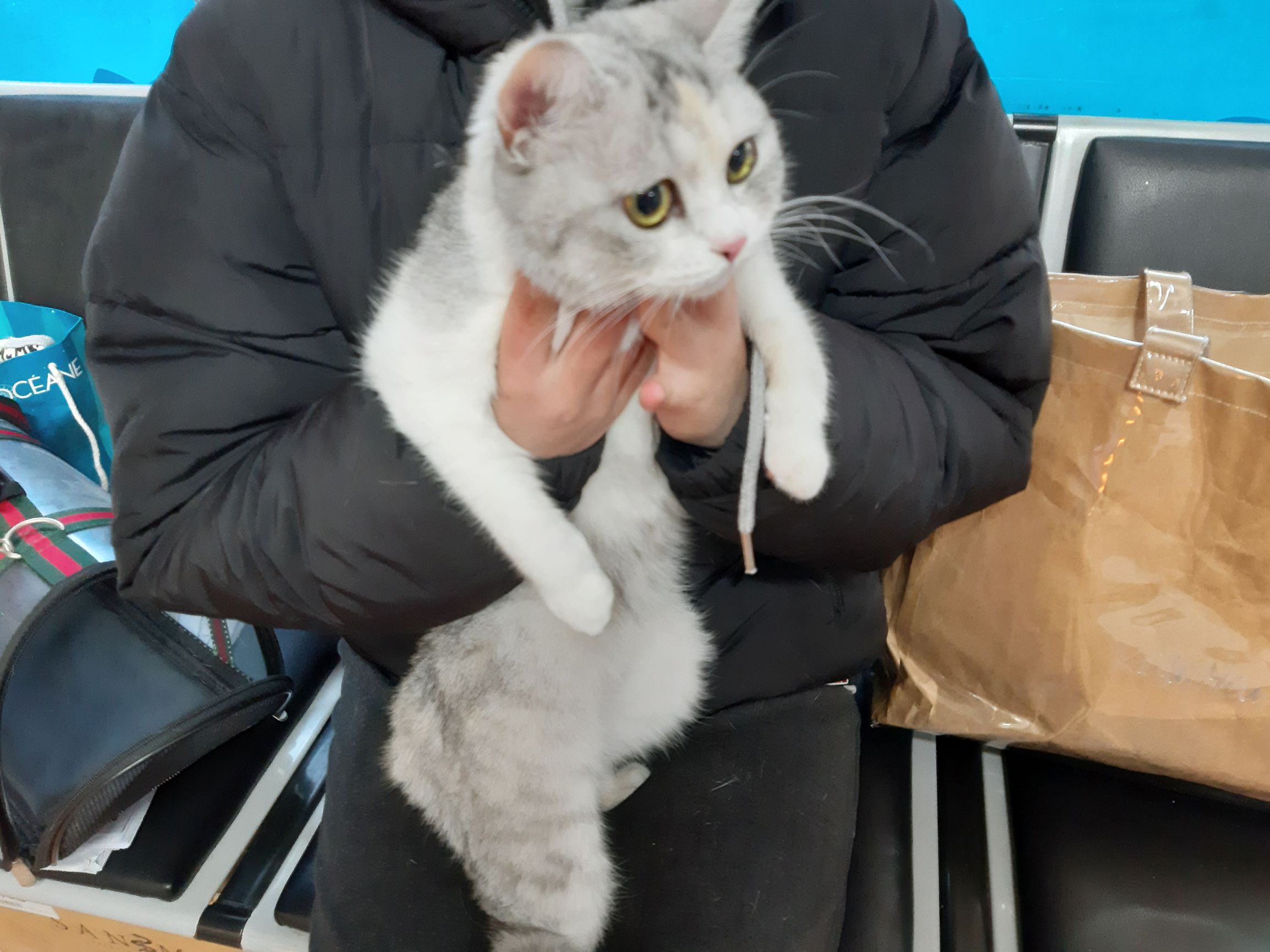 숲볼링장 이미지