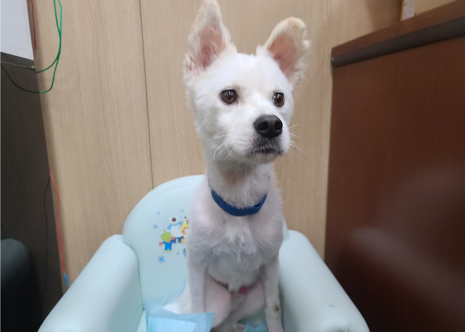 블루핸즈용원웅동점 이미지