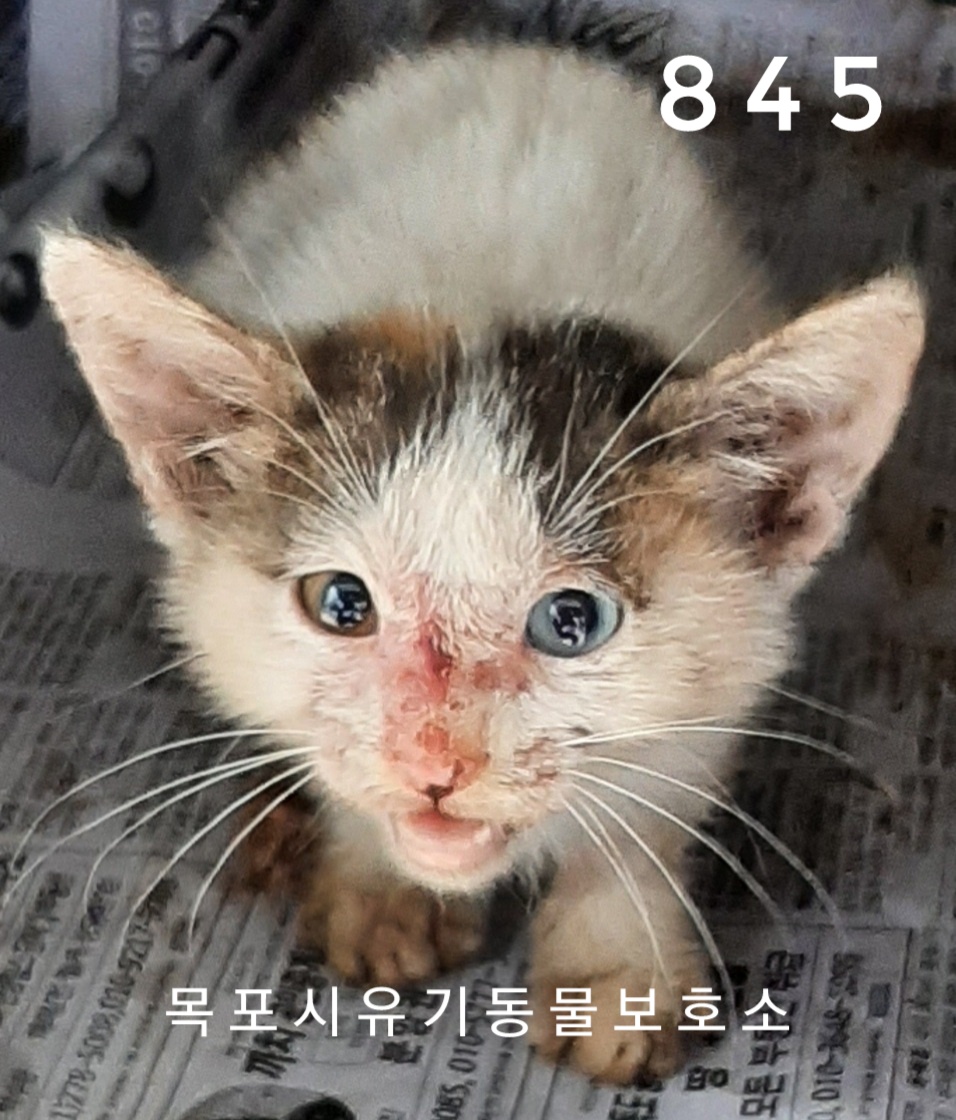 목포청연한방병원 이미지