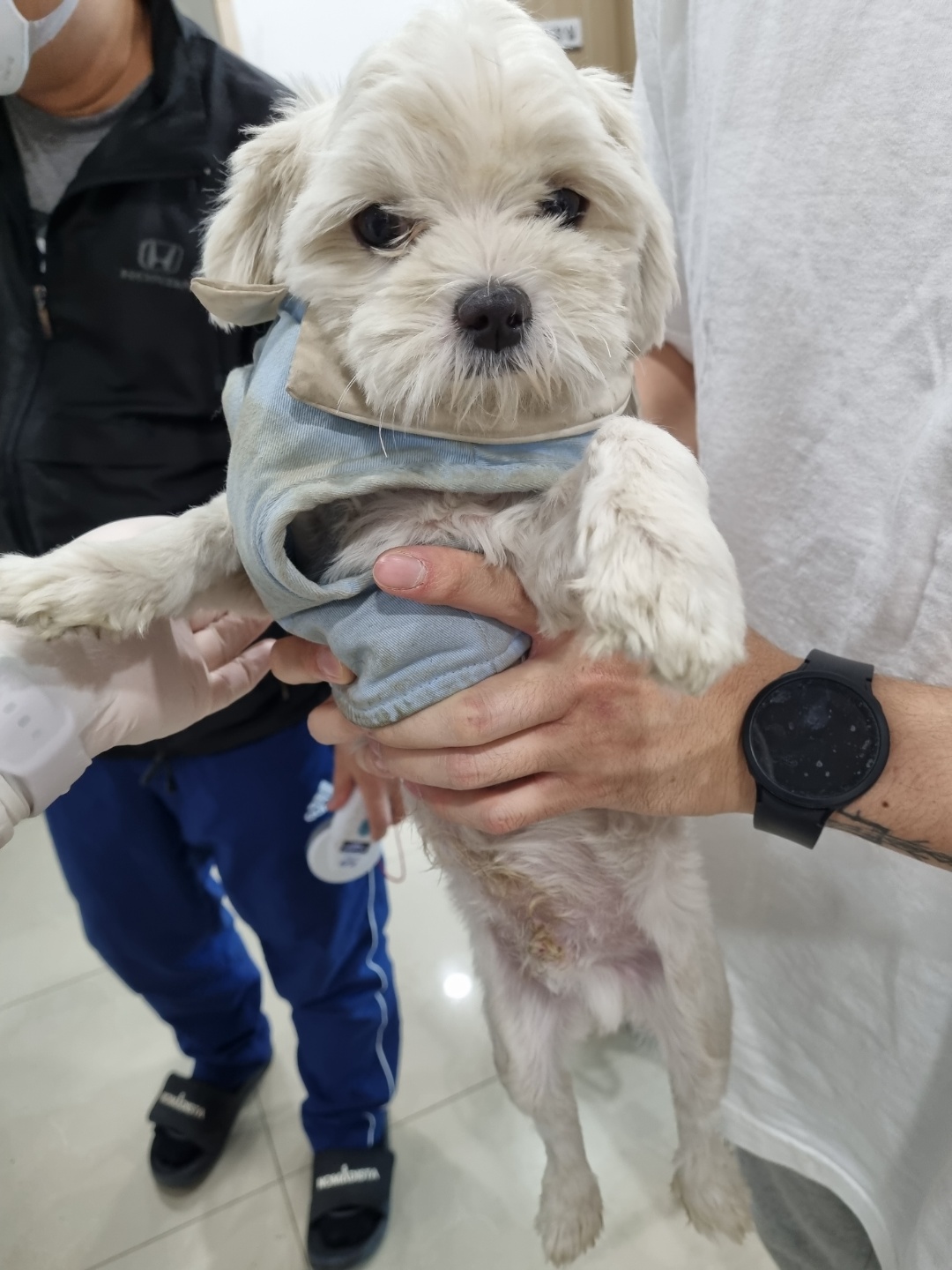 도원주유소 이미지