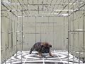 유기동물 이미지 파일 입니다.
