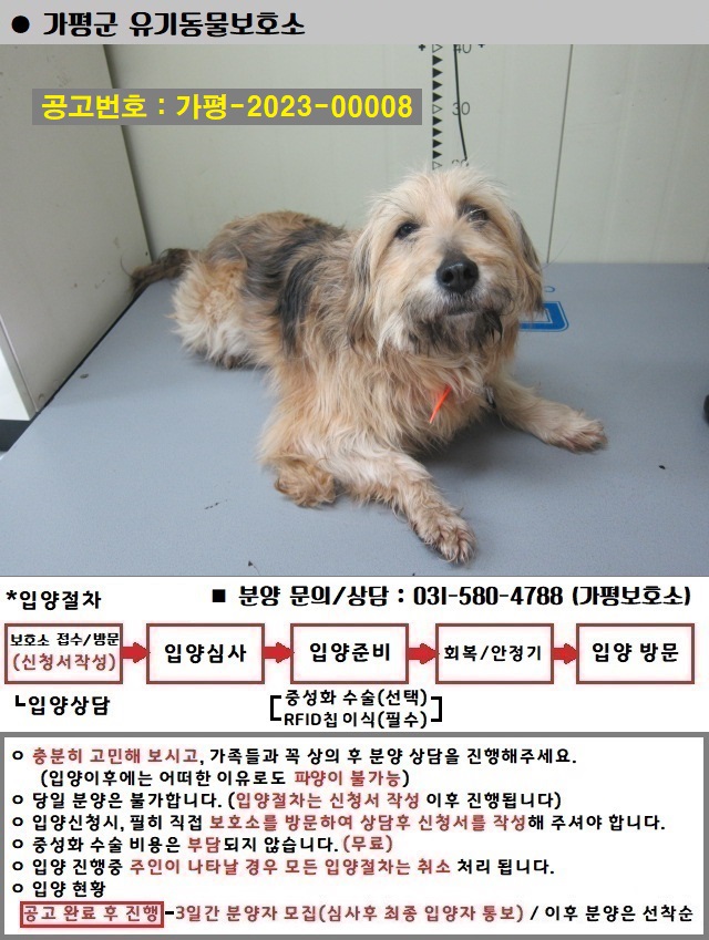 삽살개 이미지 파일 입니다.