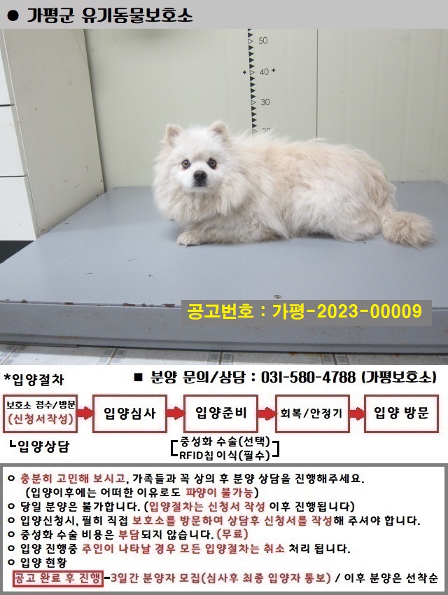 스피츠 이미지 파일 입니다.