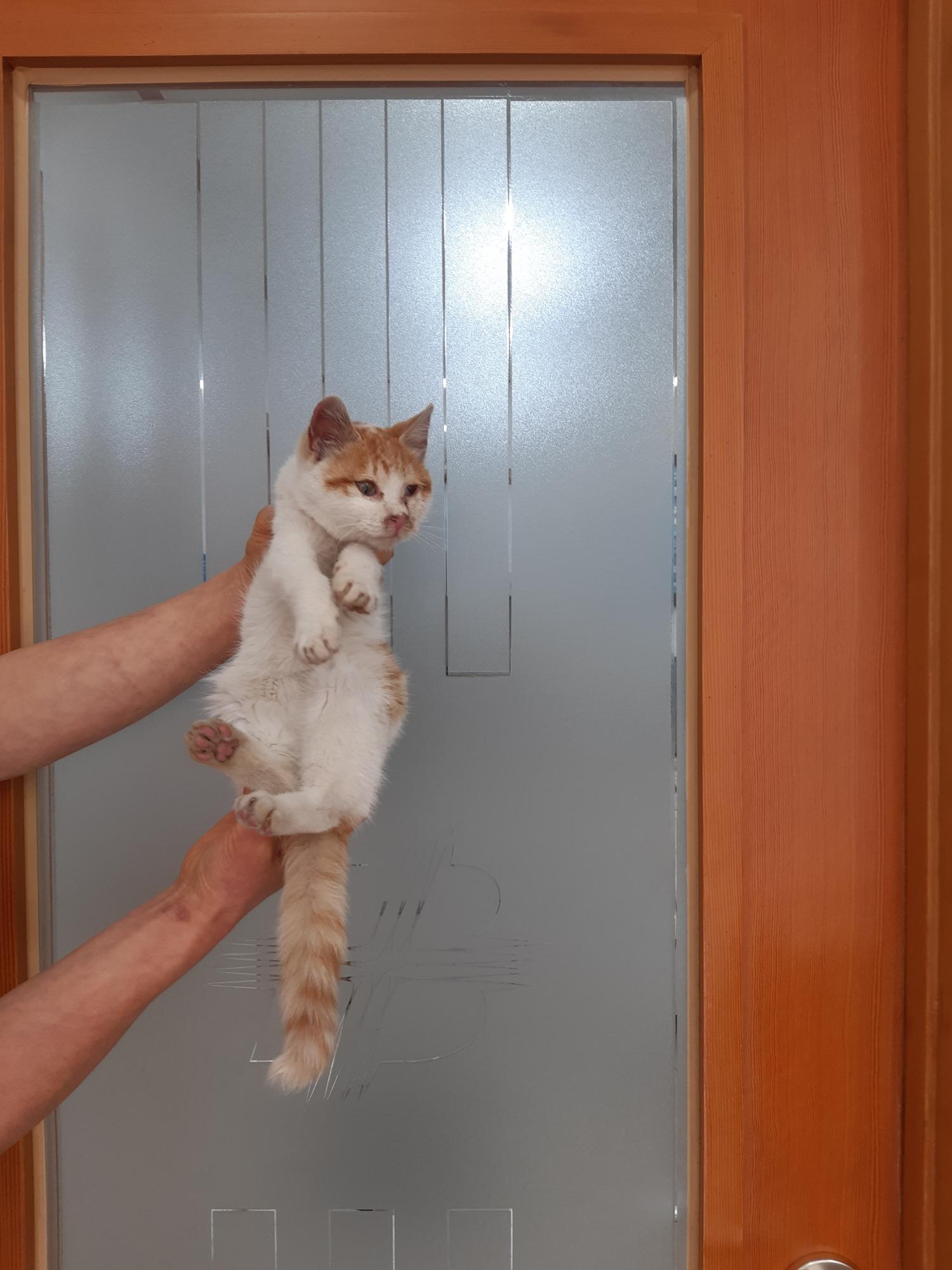 믹스묘 이미지 파일 입니다.