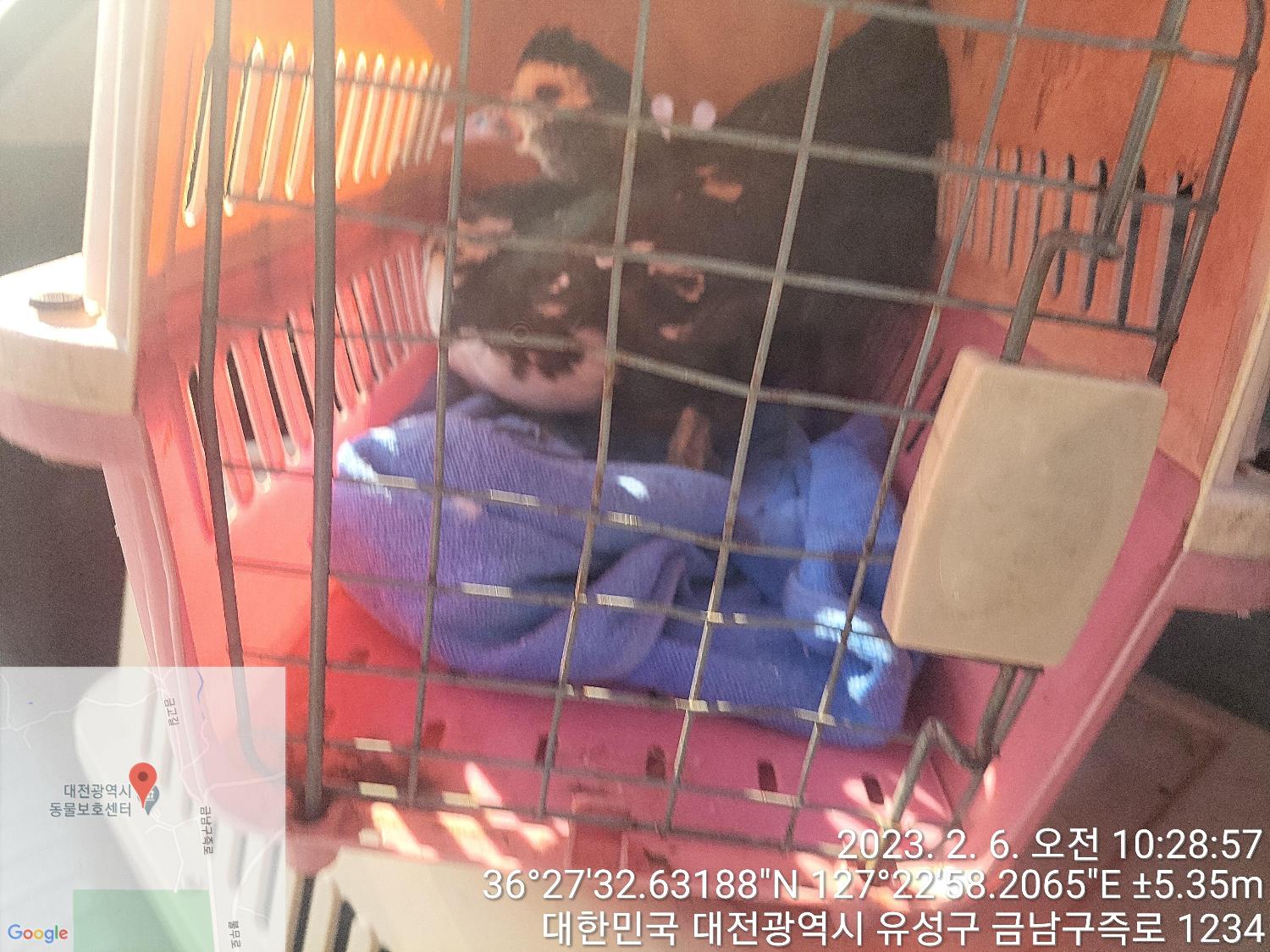 [기타축종] 기러기 이미지 파일 입니다.