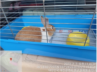 [기타축종]  이미지 파일 입니다.