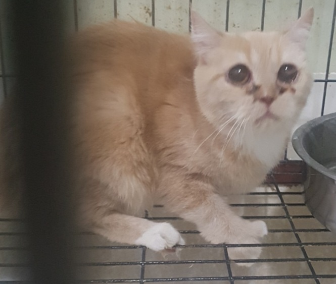 믹스묘 이미지 파일 입니다.