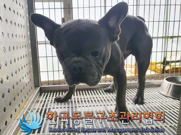 종료(반환) 프렌치…