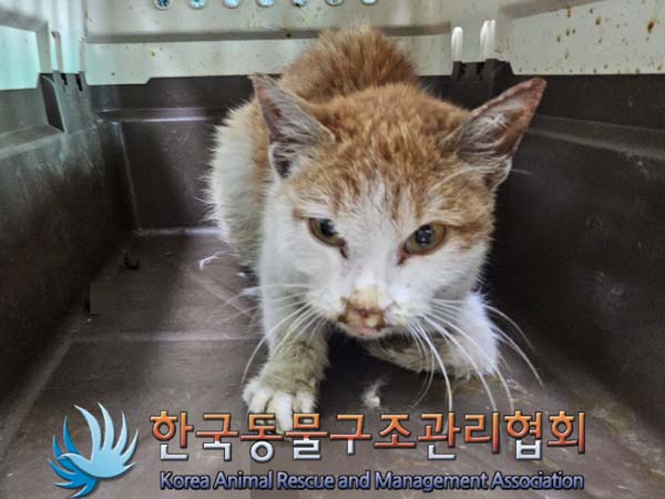 종료(자연사) 한국…