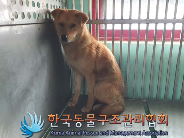 종료(안락사) 믹스…