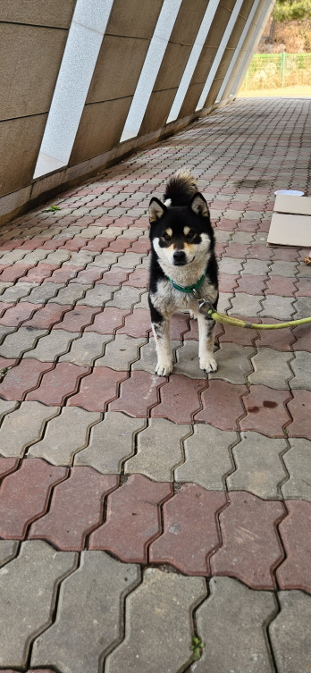 445468202300251