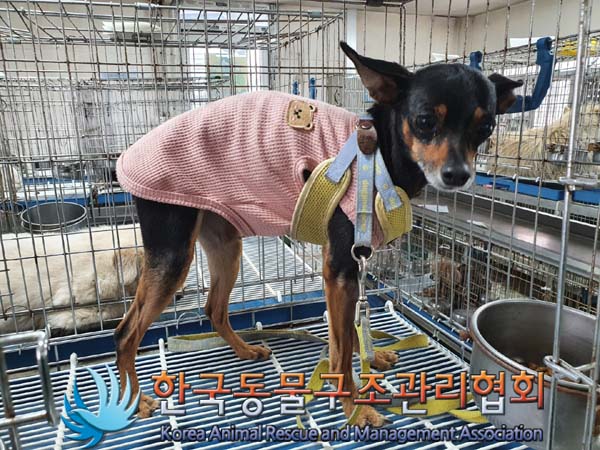 종료(반환) 미니어…
