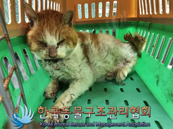 종료(자연사) 한국…