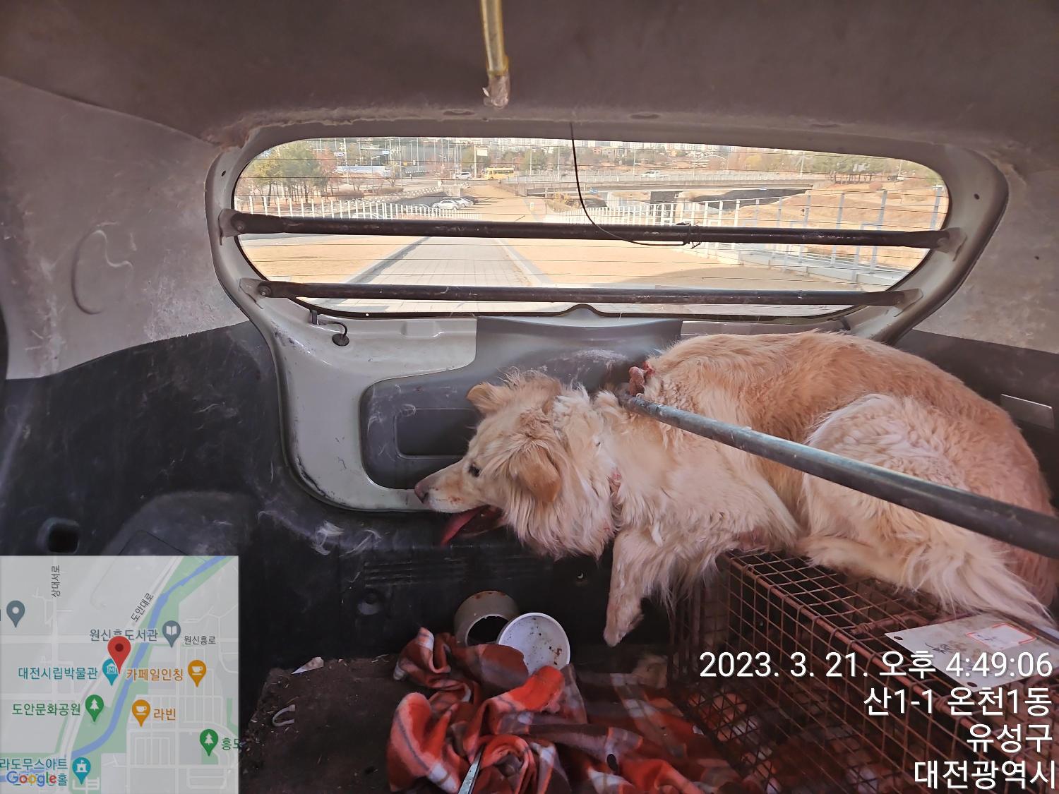 http://www.animal.go.kr/files/shelter/2023/03/202303220903616.jpg