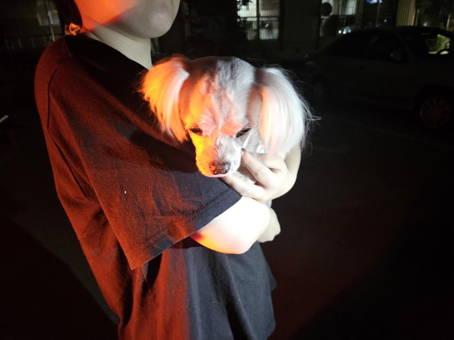 http://www.animal.go.kr/files/shelter/2023/03/202303220903687.jpg