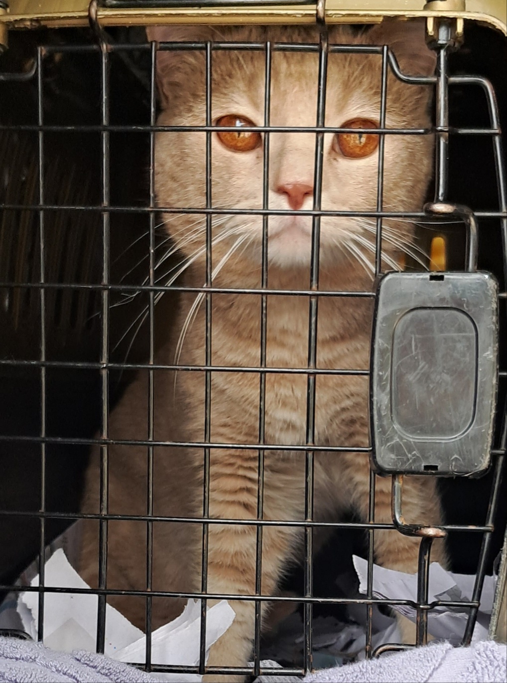 믹스묘 이미지 파일 입니다.
