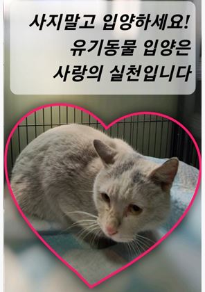 믹스묘 이미지 파일 입니다.