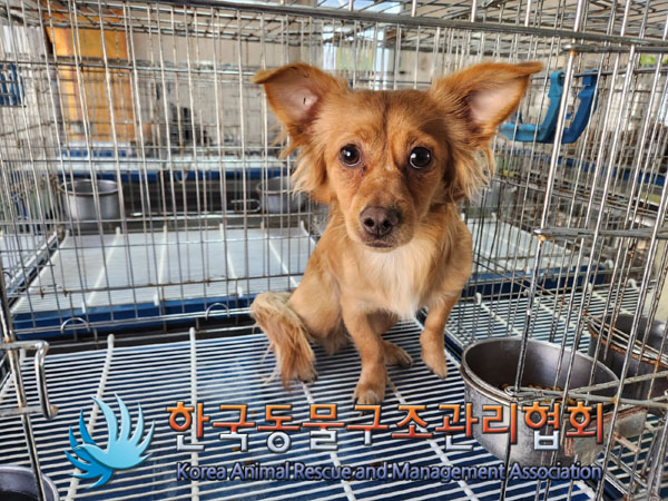 서울-영등포-2023-00026 _ 썸네일