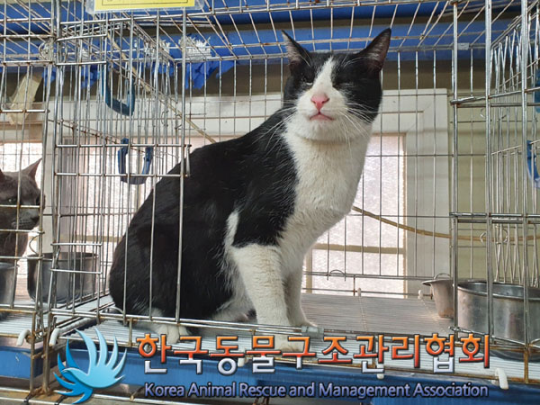 서울-은평-2023-00046 _ 썸네일