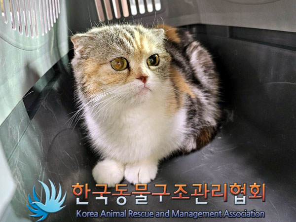 서울-종로-2023-00020 _ 썸네일