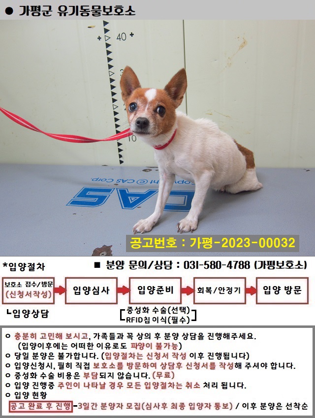 치와와 이미지 파일 입니다.