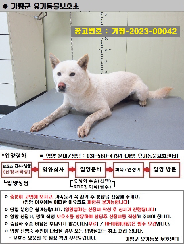 믹스견 이미지 파일 입니다.
