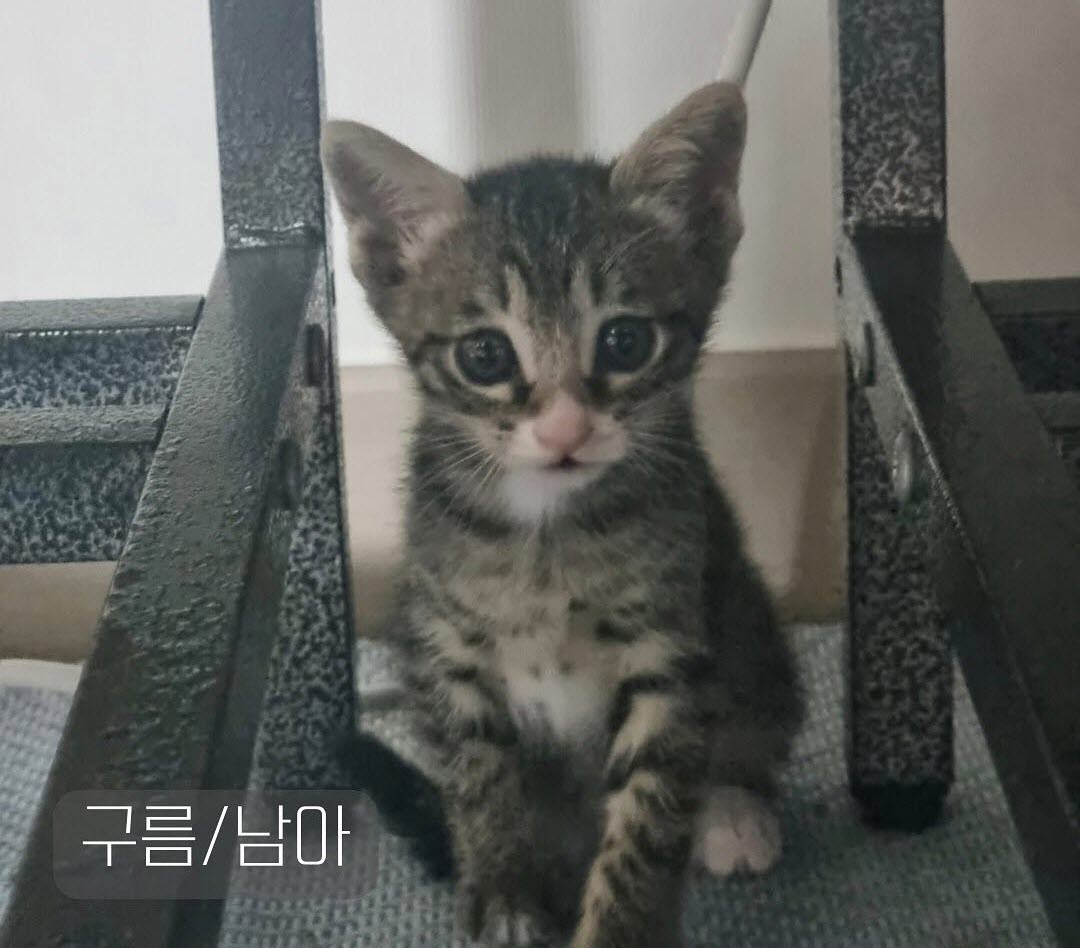 믹스묘 이미지 파일 입니다.