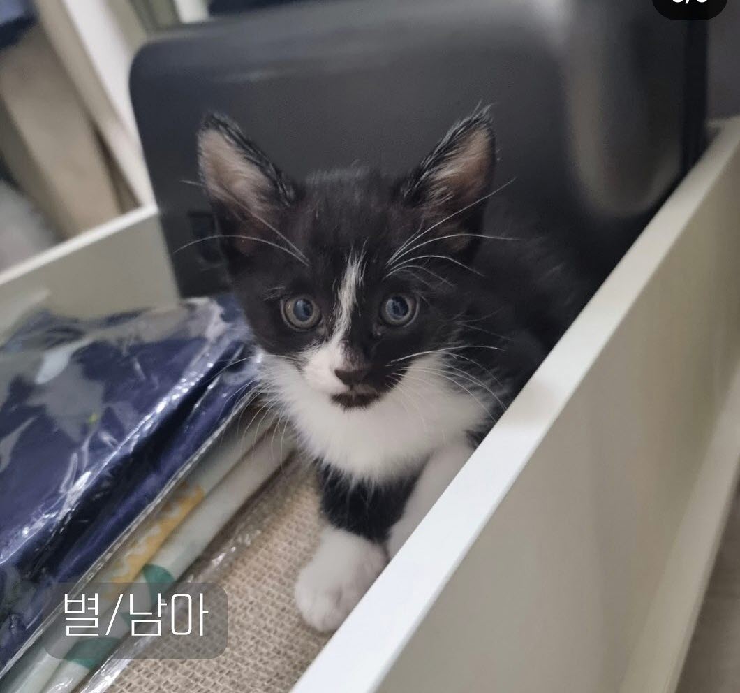 믹스묘 이미지 파일 입니다.