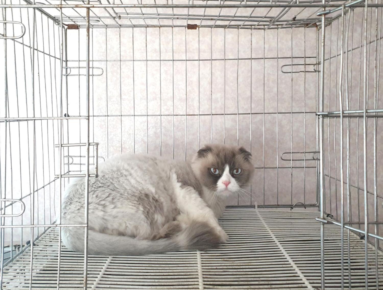 믹스묘 이미지 파일 입니다.