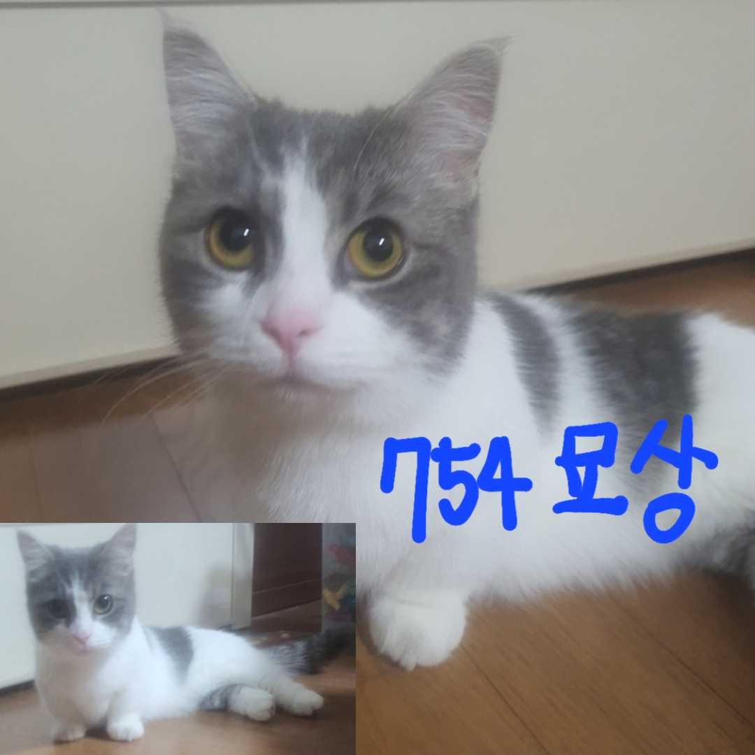 믹스묘 이미지 파일 입니다.