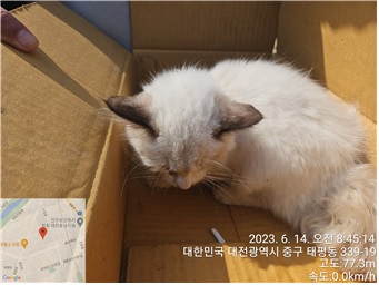 샴 이미지 파일 입니다.