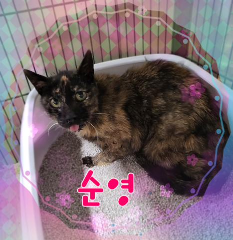 믹스묘 이미지 파일 입니다.